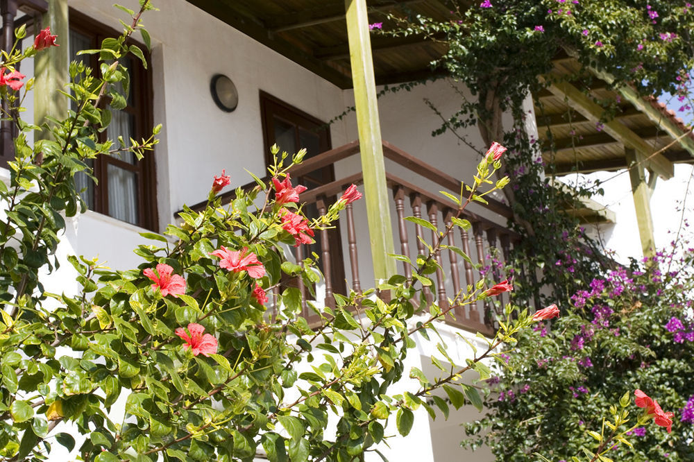 Delfi Hotel Spa & Wellness Center Bodrum Eksteriør bilde